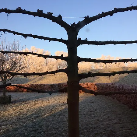 Alojamento de Acomodação e Pequeno-almoço Dreumelse Waard Dreumel