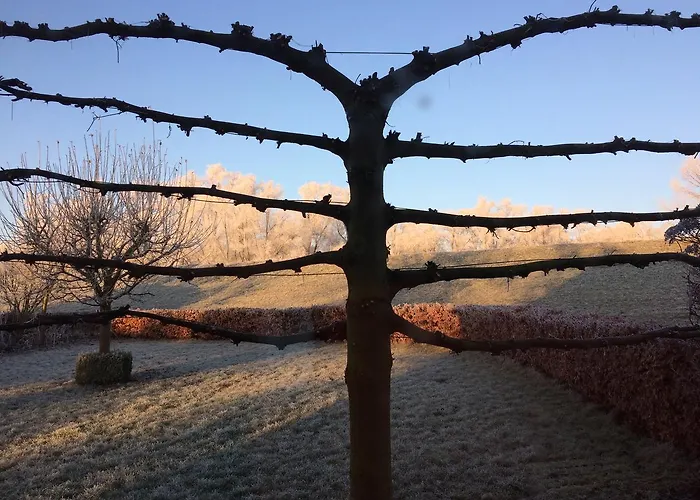 Nocleg ze śniadaniem Dreumelse Waard Dreumel