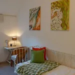 Dreumelse Waard 3* Dreumel